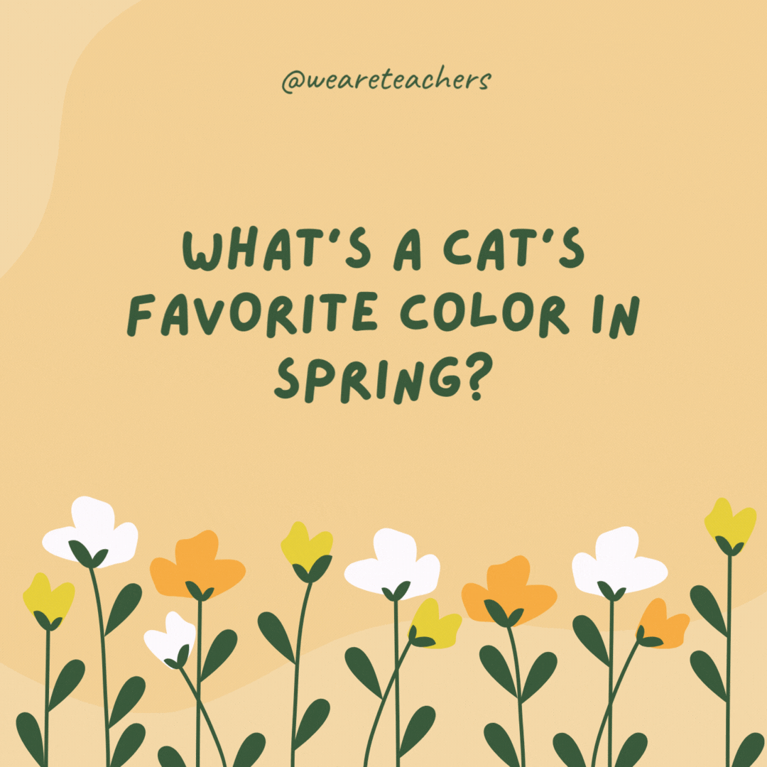 What's a cat's favorite color in spring?

Purr-ple.- spring jokes