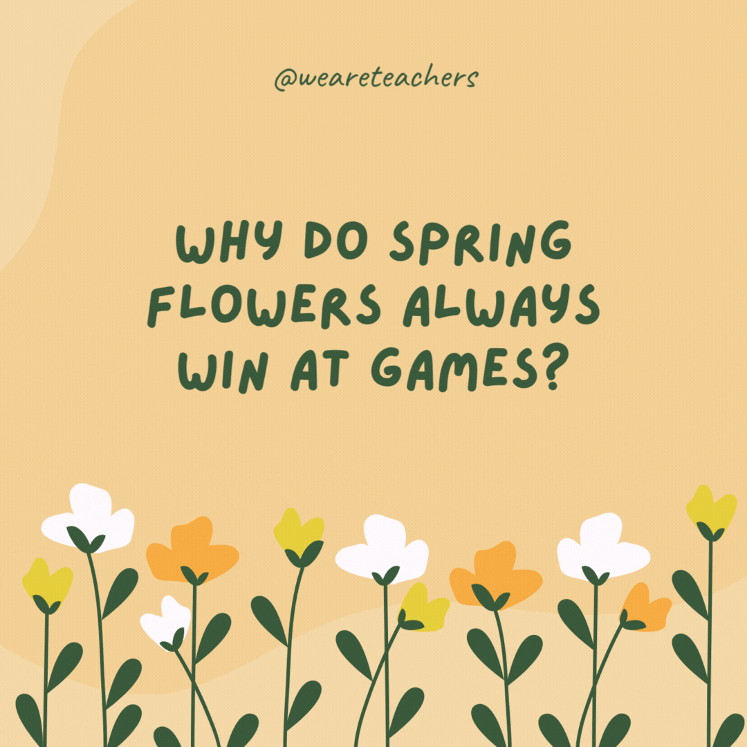 Why do spring flowers always win at games?

Because they're unbe-leaf-ably good at them.