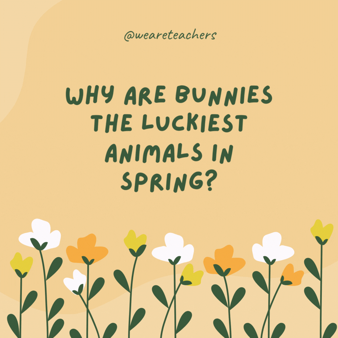 Why are bunnies the luckiest animals in spring?

Because they have four rabbits' feet.