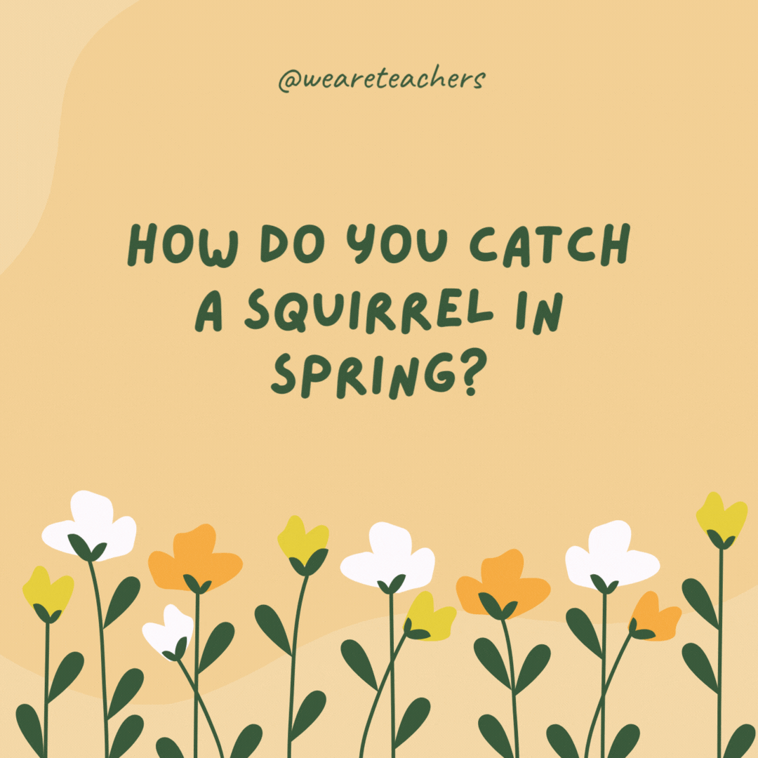 How do you catch a squirrel in spring?

Climb a tree and act like a nut!- spring jokes
