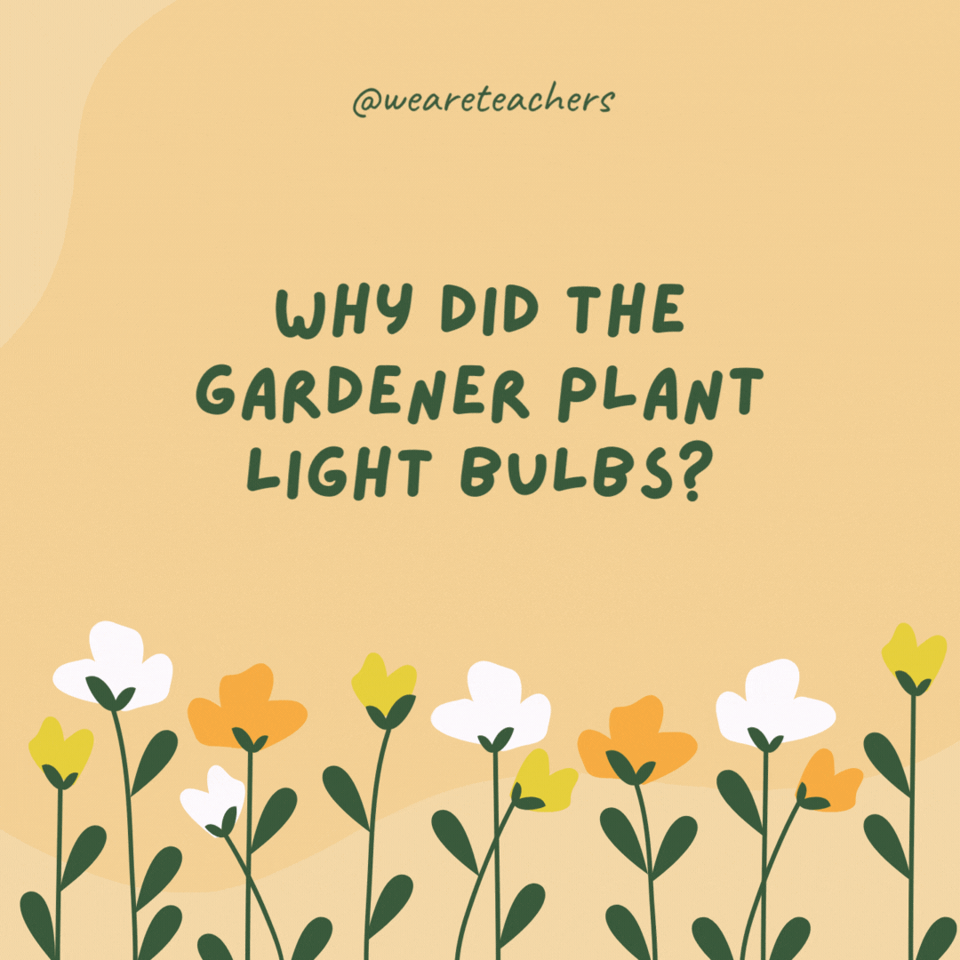 Why did the gardener plant light bulbs?

He wanted to grow a power plant.