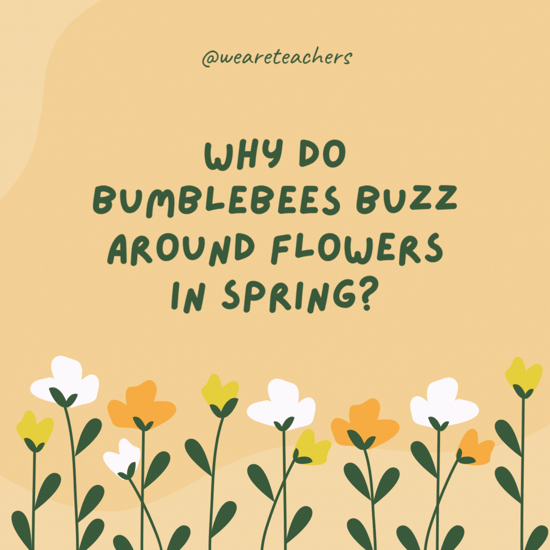 Why do bumblebees buzz around flowers in spring?

Because they can't find the doorbell!