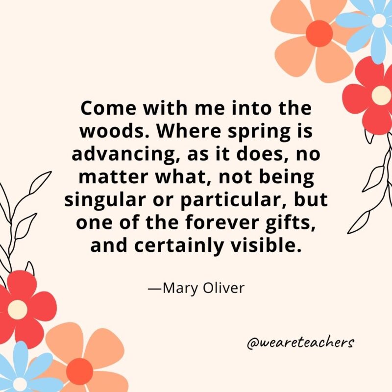 Come with me into the woods. Where spring is advancing, as it does, no matter what, not being singular or particular, but one of the forever gifts, and certainly visible. - Mary Oliver