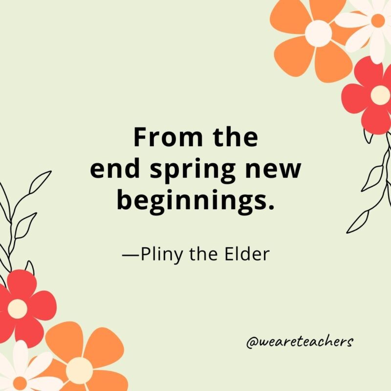 From the end spring new beginnings. - Pliny the Elder