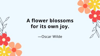 A flower blossoms for its own joy, a quote by Oscar Wilde with illustration of flowers.