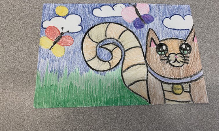 Student drawing of cat as an example of Squiggle SEL activities