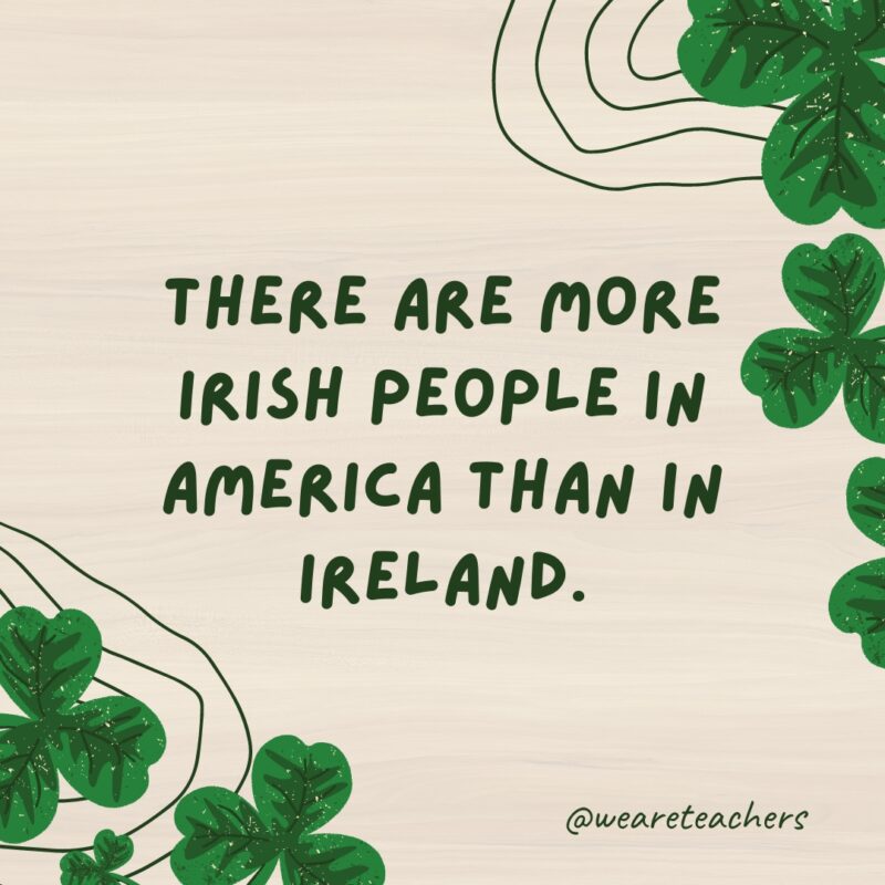 There are more Irish people in America than in Ireland.