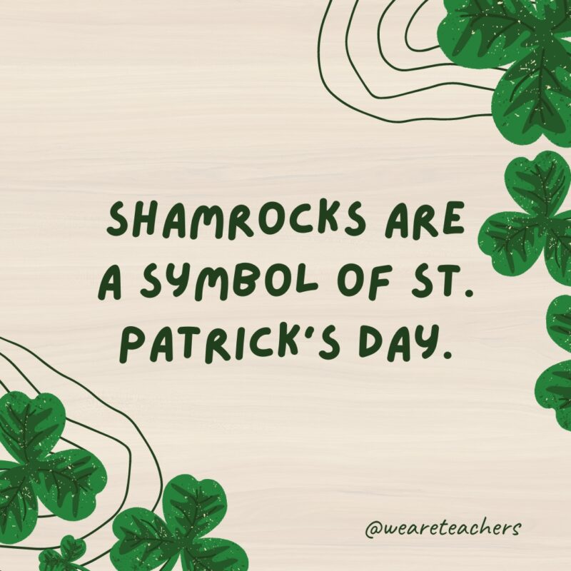 Shamrocks are a symbol of St. Patrick’s Day.