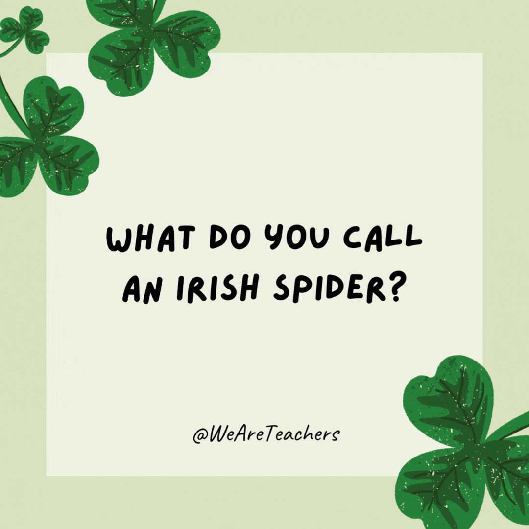 What do you call an Irish spider?

Paddy longlegs.- St. Patrick's Day jokes