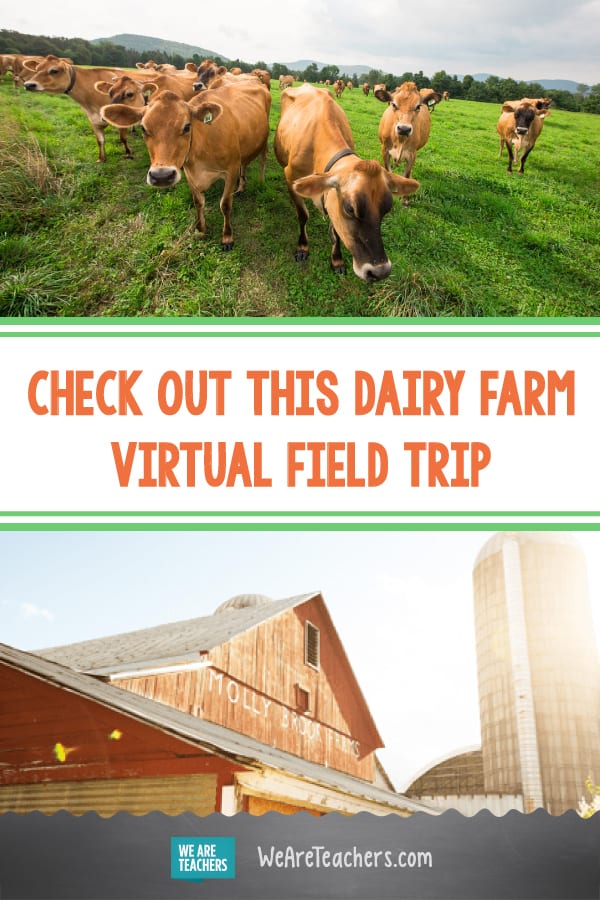 Check Out This Dairy Farm Virtual Field Trip