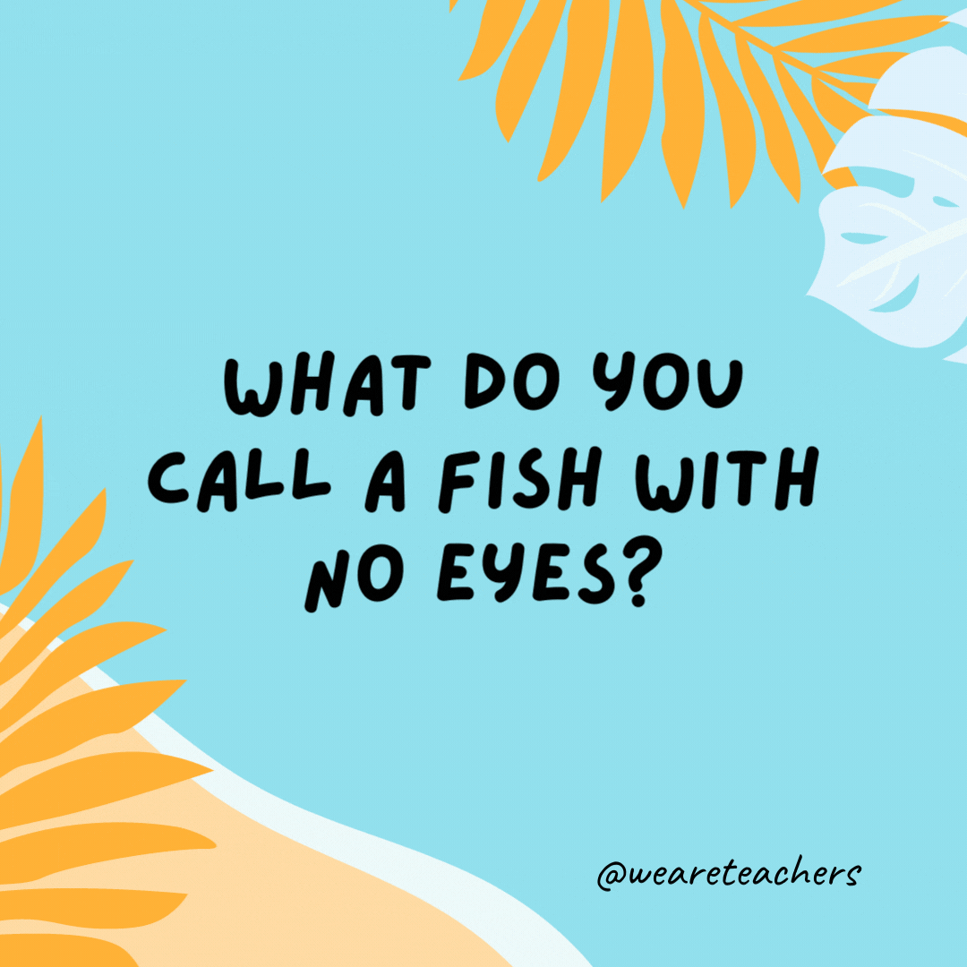 What do you call a fish with no eyes? A fsh.