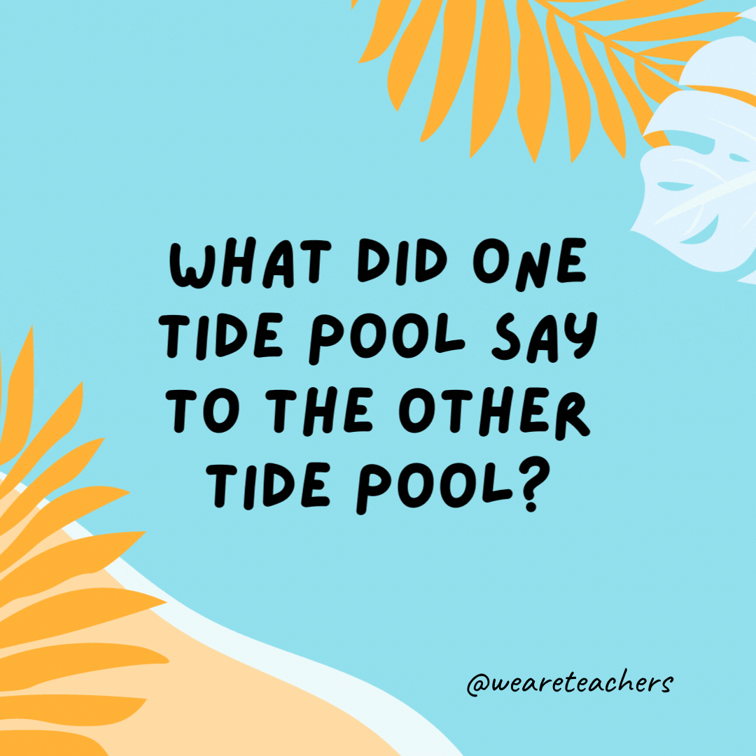 What did one tide pool say to the other tide pool? Show me your mussels.