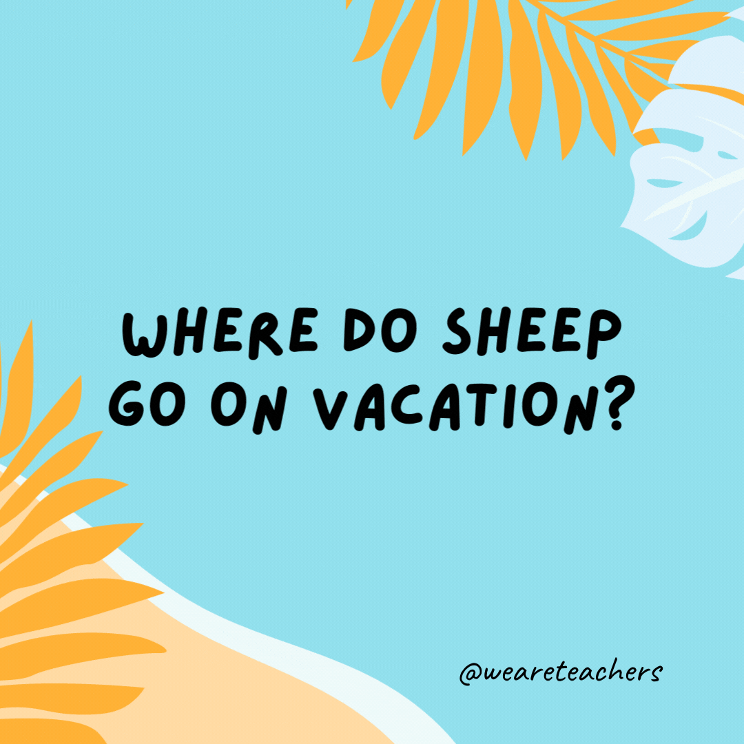 Where do sheep go on vacation? To the Baa-hamas.