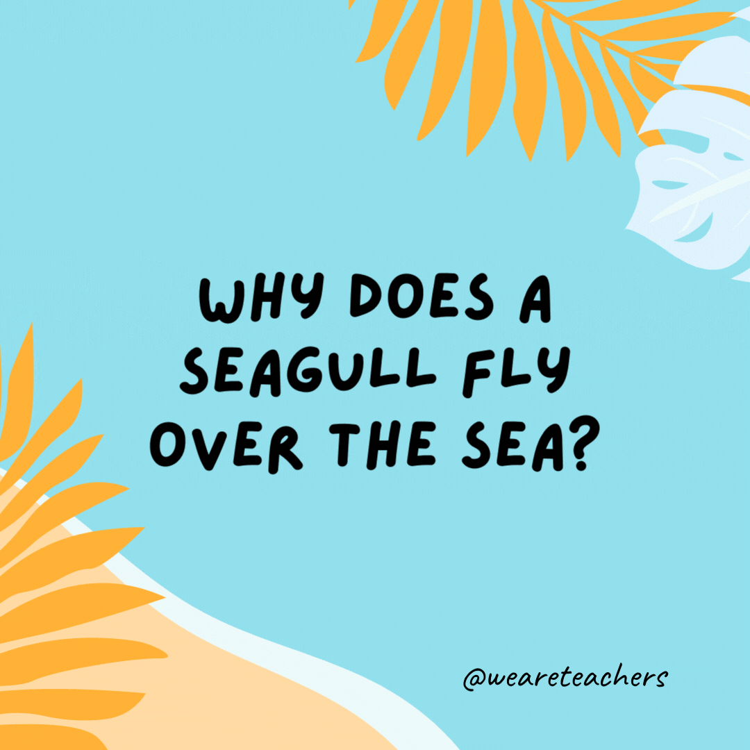Why does a seagull fly over the sea? Because if it flew over the bay, it would be a bagel.