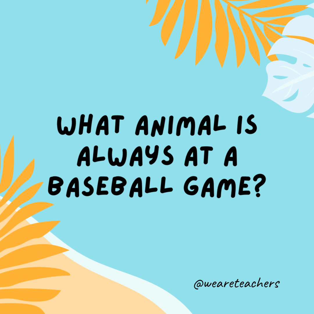 What animal is always at a baseball game? A bat.