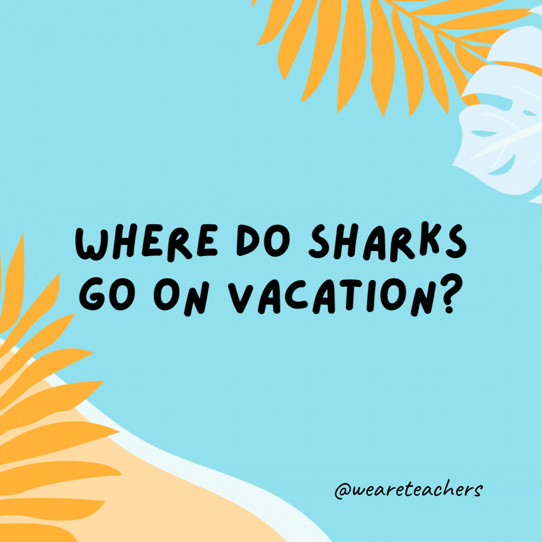 Where do sharks go on vacation? Finland.