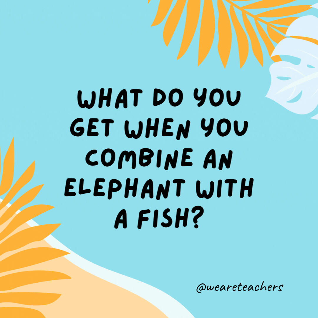 What do you get when you combine an elephant with a fish? Swimming trunks.