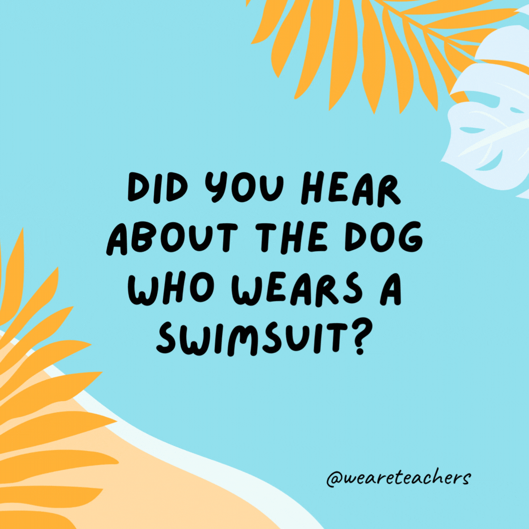 Did you hear about the dog who wears a swimsuit?

Apparently, it looks quite fetching.