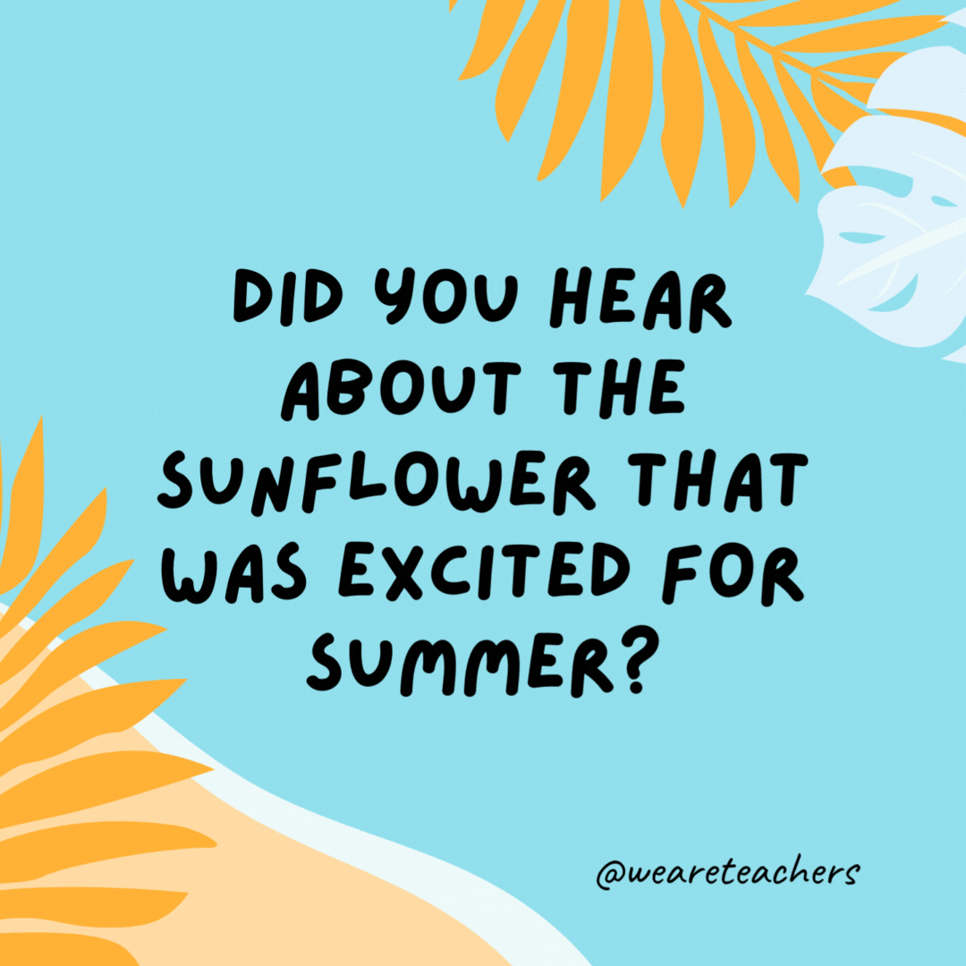 Did you hear about the sunflower that was excited for summer?

It wet its plants.- funny summer jokes for kids