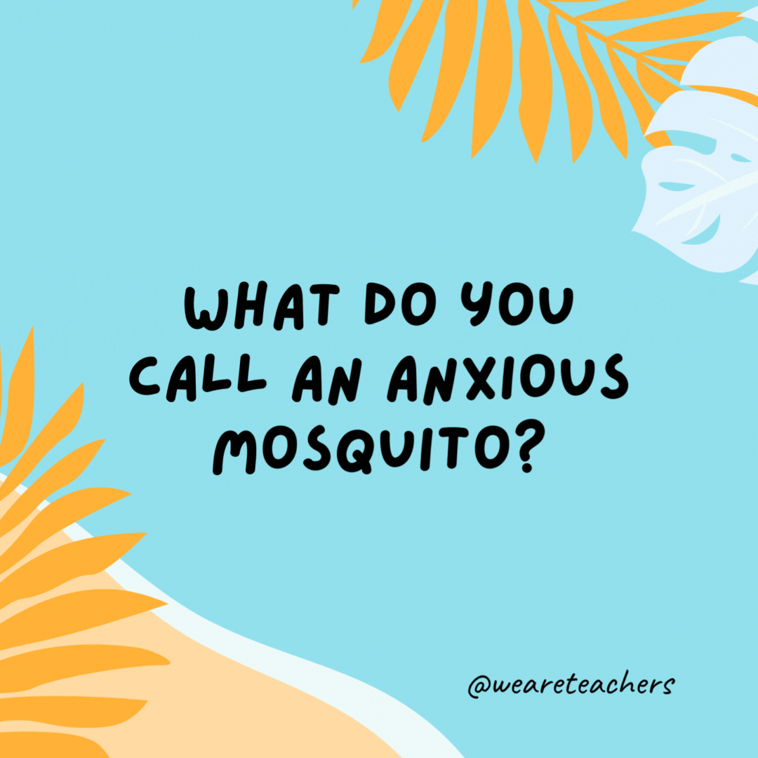What do you call an anxious mosquito?

A jitterbug.