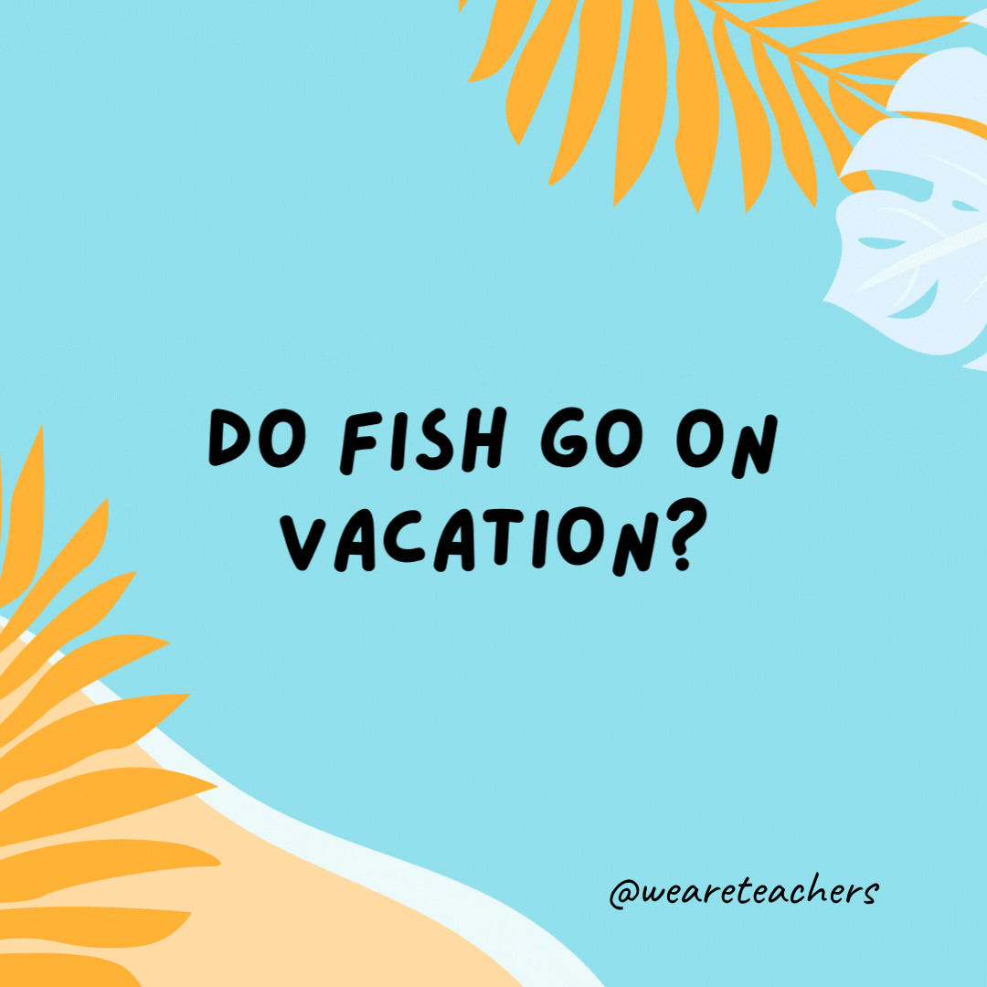 Do fish go on vacation? No, because they’re always in school.