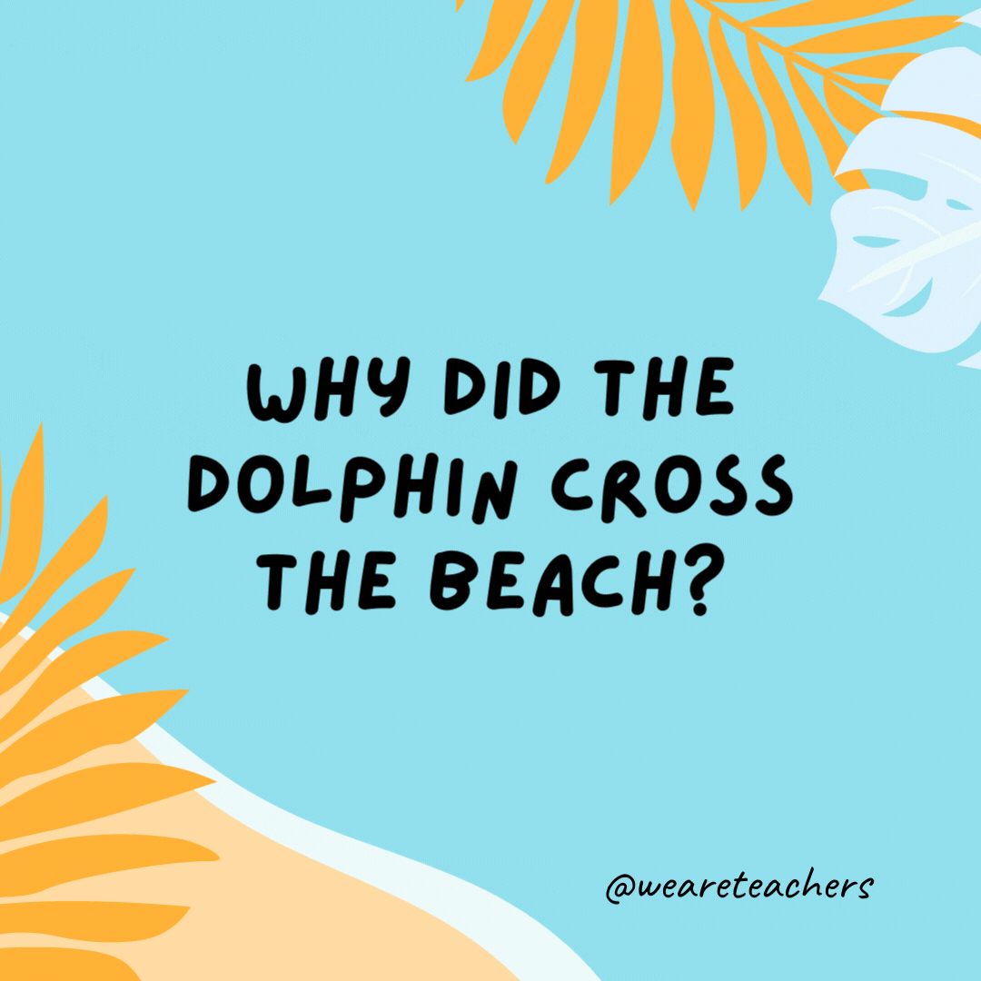 Why did the dolphin cross the beach? To get to the other tide.