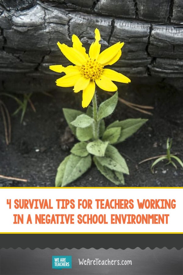4 Survival Tips for Teachers Working in a Negative School Environment
