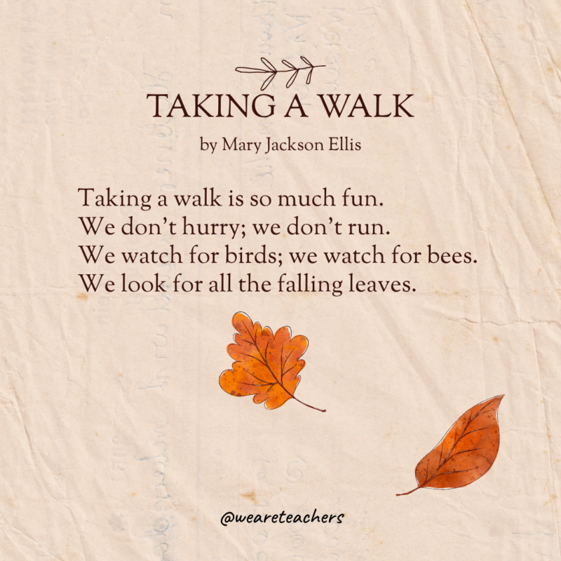 Taking A Walk by Mary Jackson Ellis