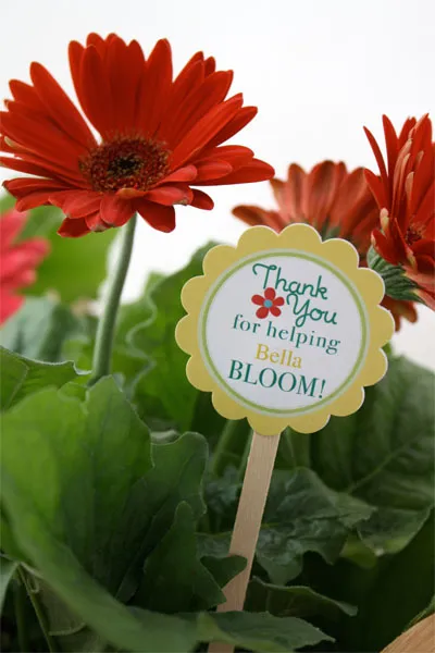 Flowers with sign saying thank you for helping Bella BLOOM!