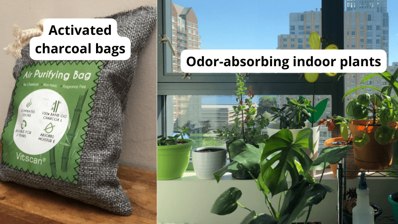 Paired image of activated charcoal bags and plants