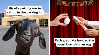 Paired image of senior pranks: high school petting zoo and handing superintendent an egg