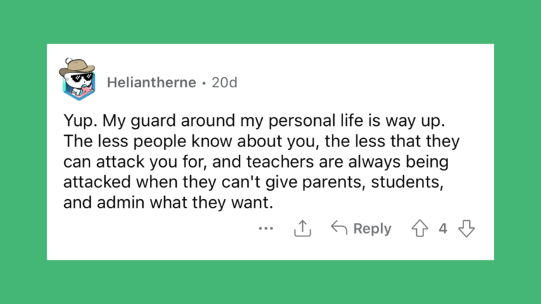 Reddit quote about how teaching affects privacy