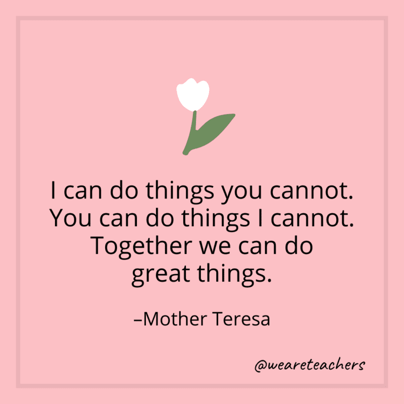 I can do things you cannot. You can do things I cannot. Together we can do great things. - Mother Teresa