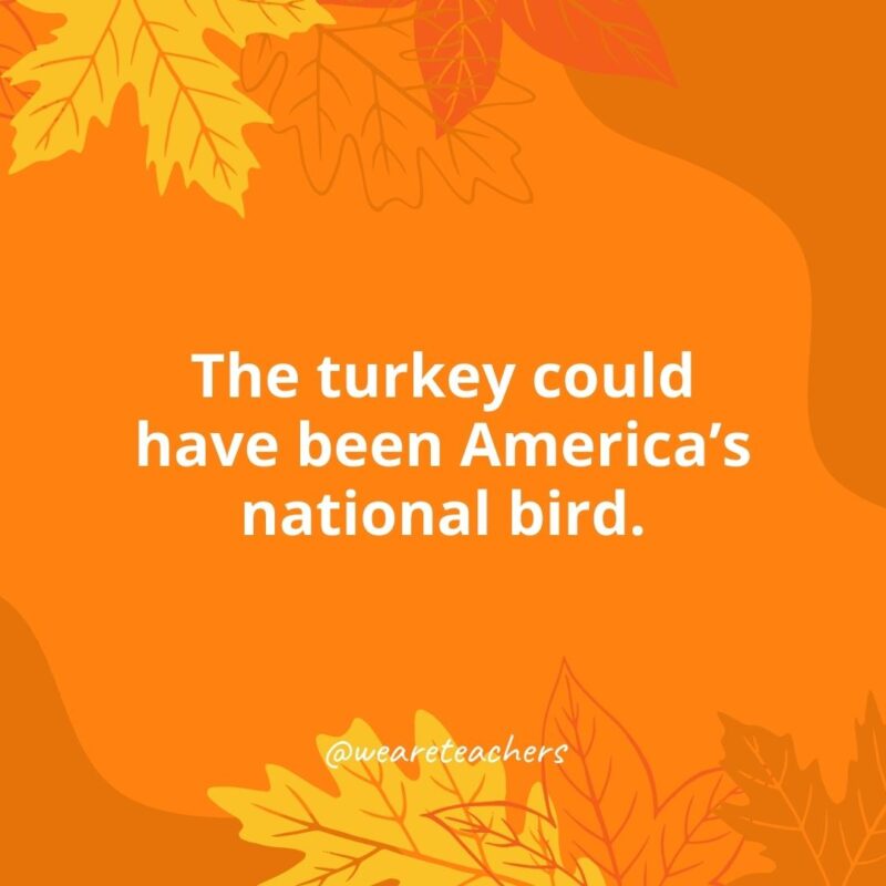 The turkey could have been America’s national bird.