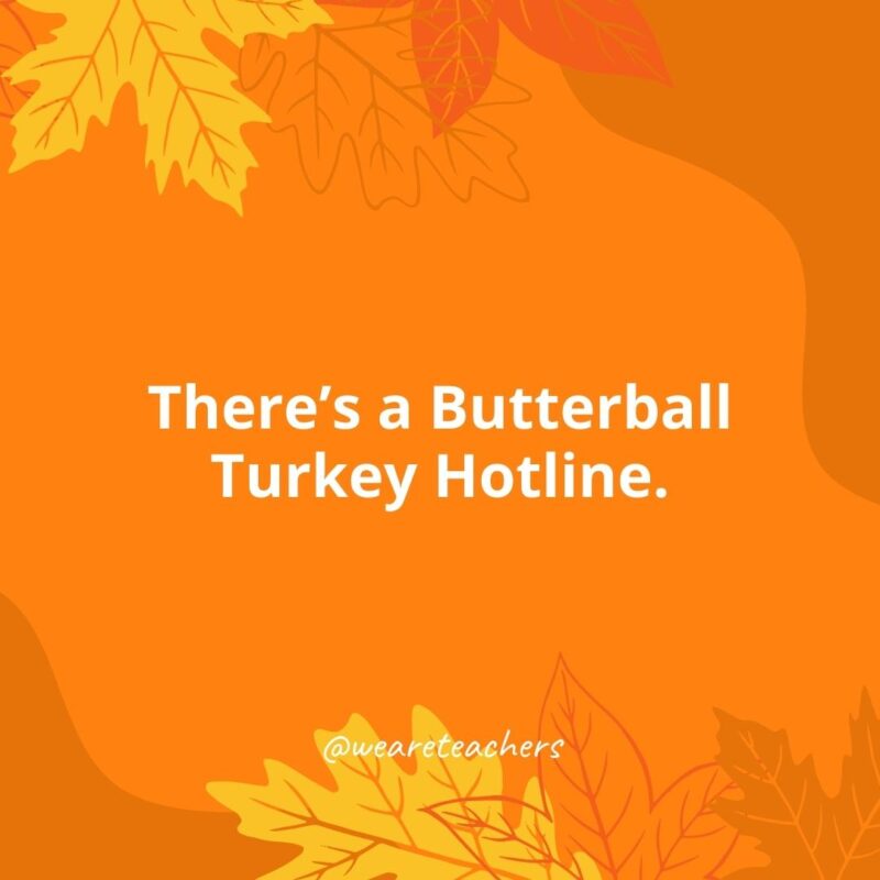 There’s a Butterball Turkey Hotline.- Thanksgiving facts