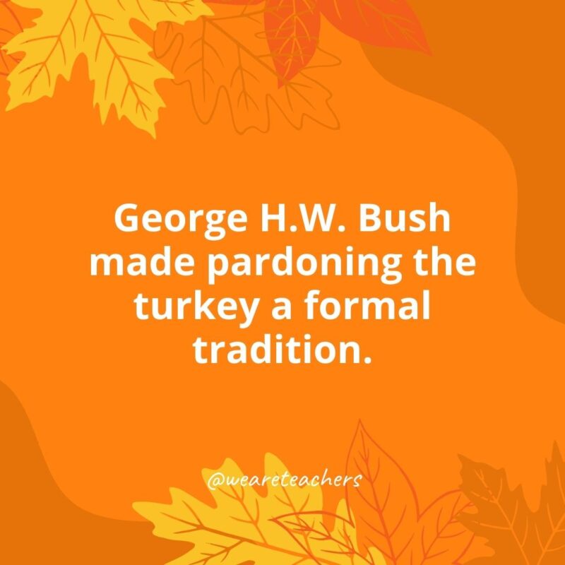 Thanksgiving Day 2023: History And Traditions