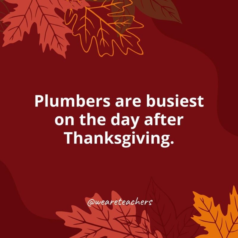 Plumbers are busiest on the day after Thanksgiving.