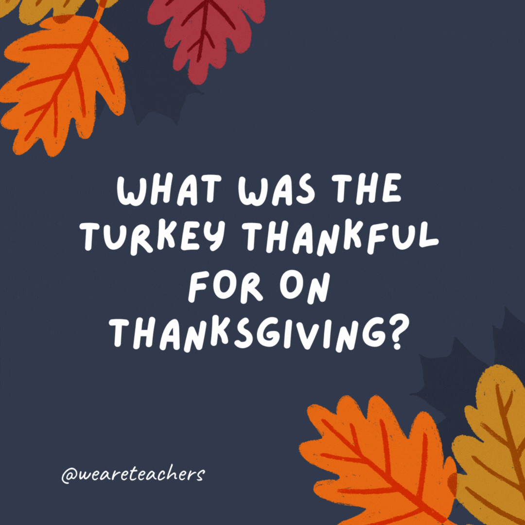 What was the turkey thankful for on Thanksgiving? Vegetarians.
