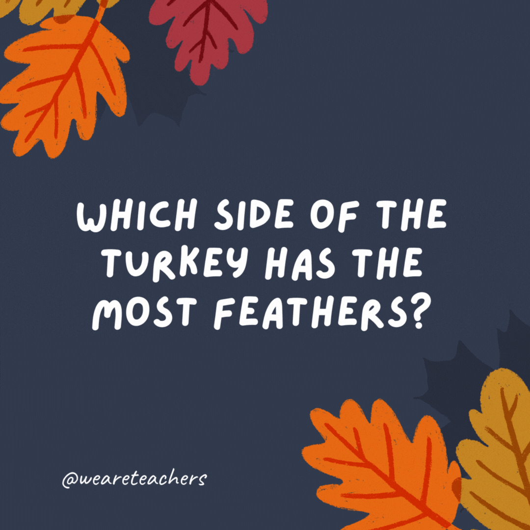 Which side of the turkey has the most feathers? The outside!