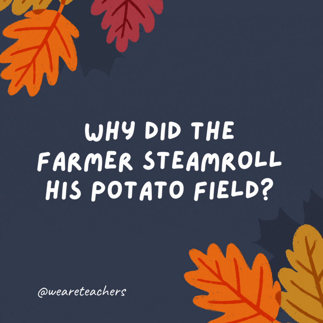 Why did the farmer steamroll his potato field? He wanted mashed potatoes. - thanksgiving jokes for kids.
