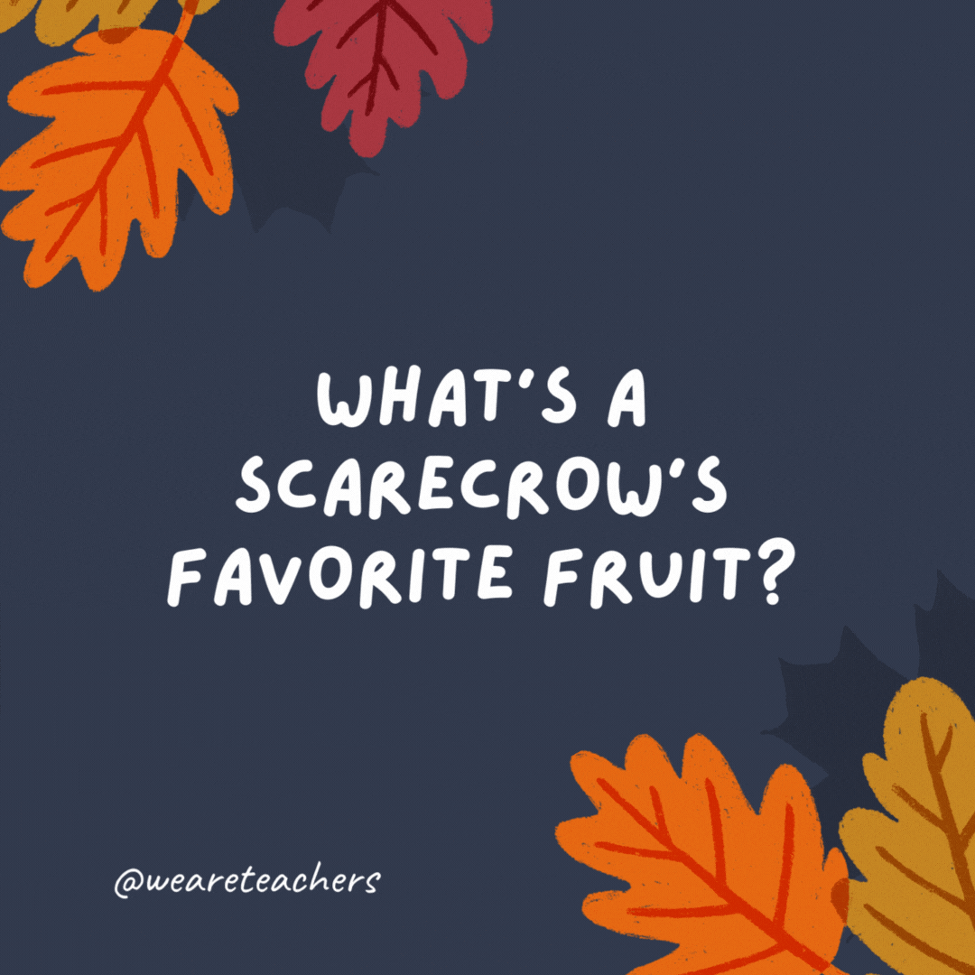 What's a scarecrow's favorite fruit?

Straw-berries!