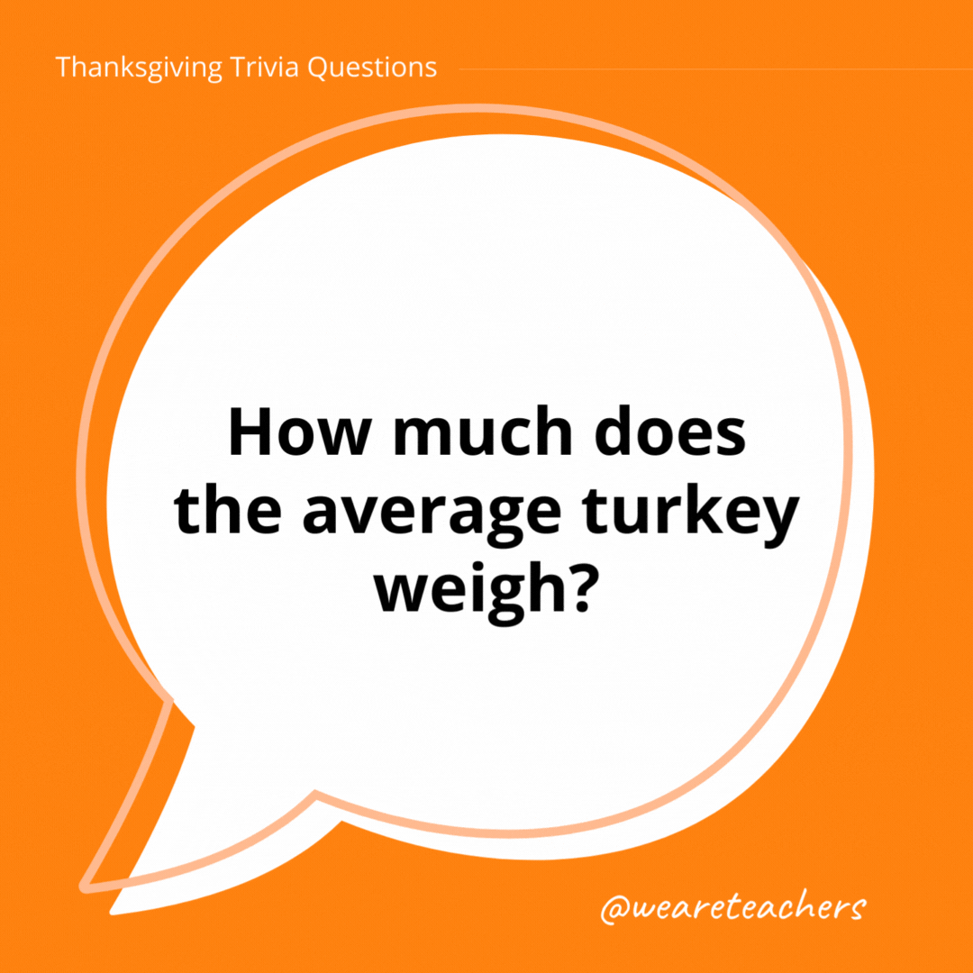 How much does the average turkey weigh?