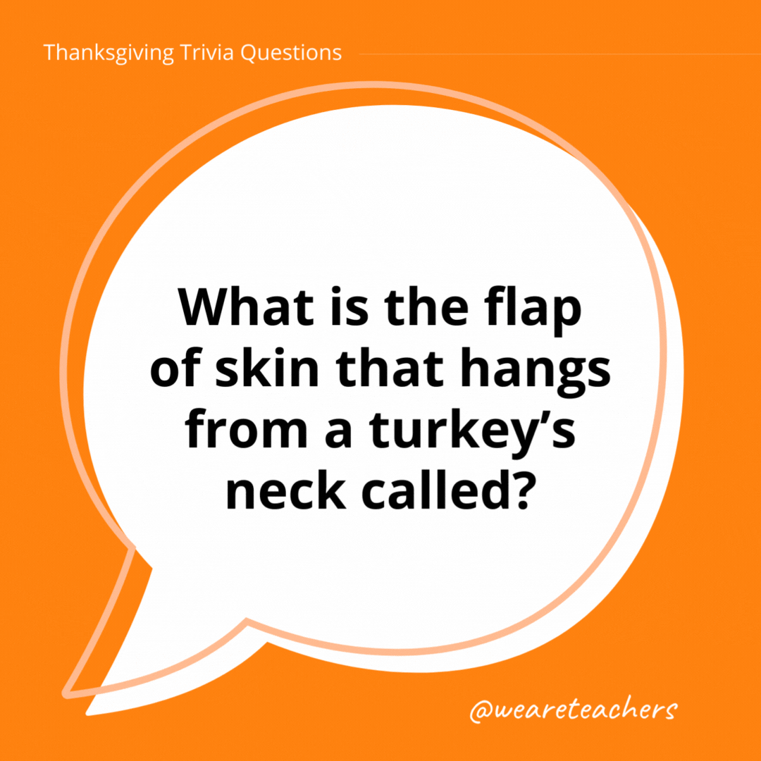 What is the flap of skin that hangs from a turkey’s neck called?