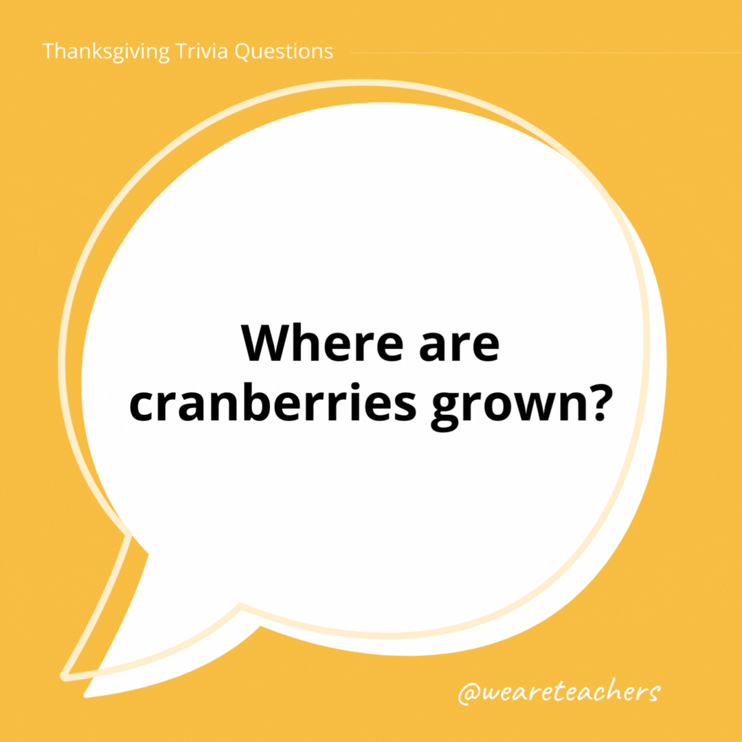 Where are cranberries grown? 