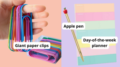 Giant paper clips, day of the week planner, and apple pen
