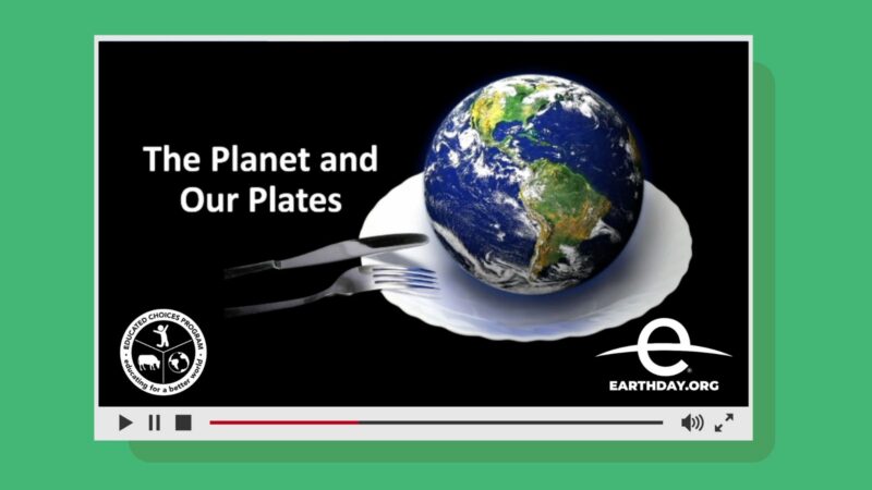 The planet and our plates