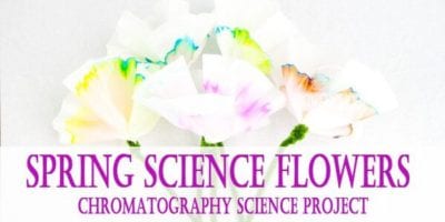 75 3rd Grade Science Projects for the Classroom or Science Fair