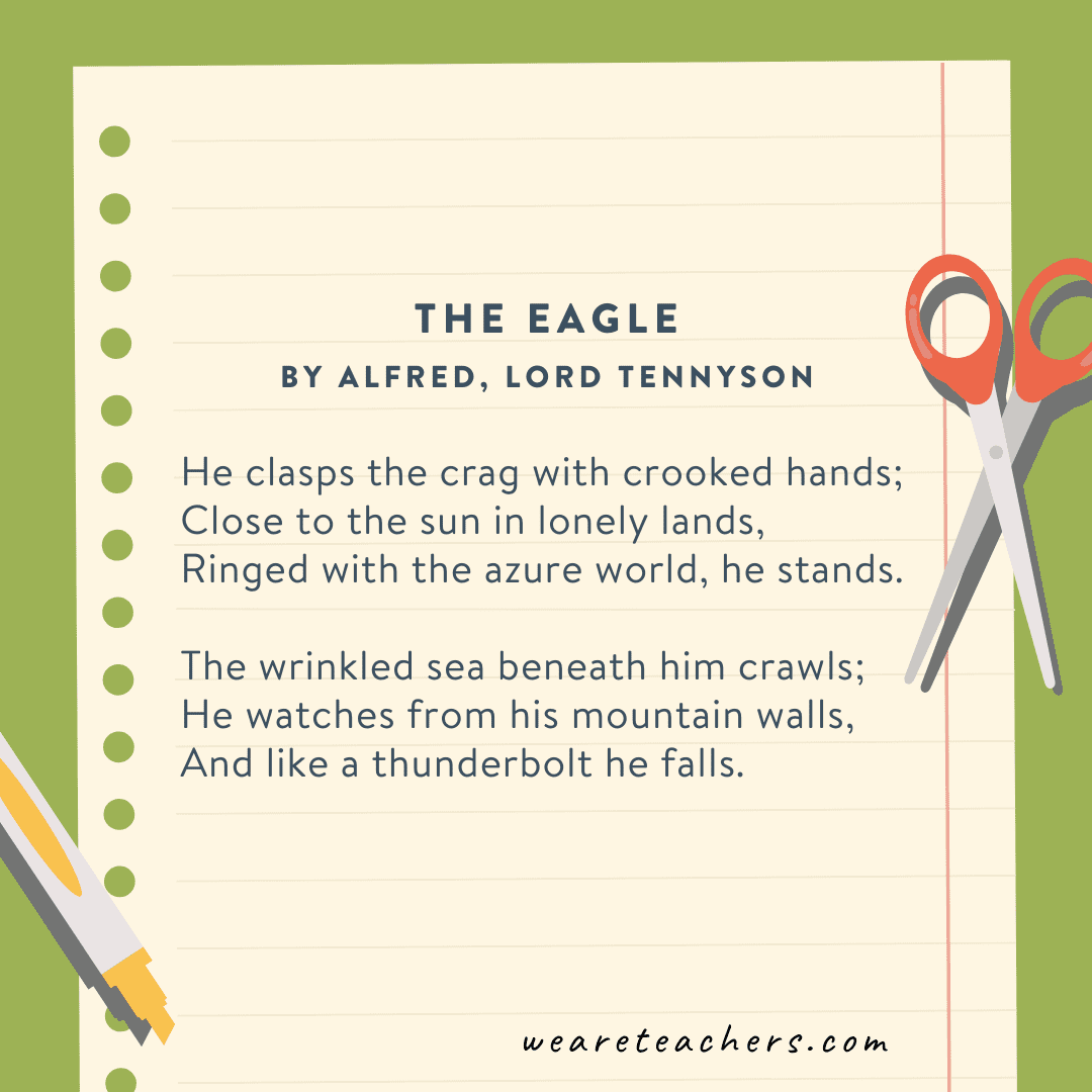 The Eagle by Alfred by Lord Tennyson