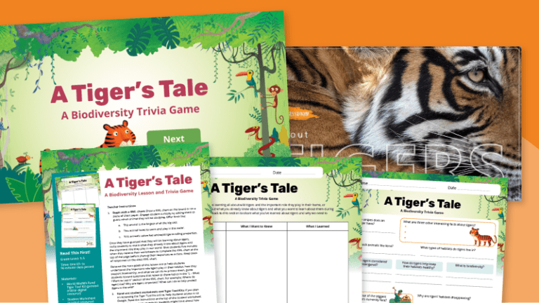 Image of Tiger Lesson and Trivia Game
