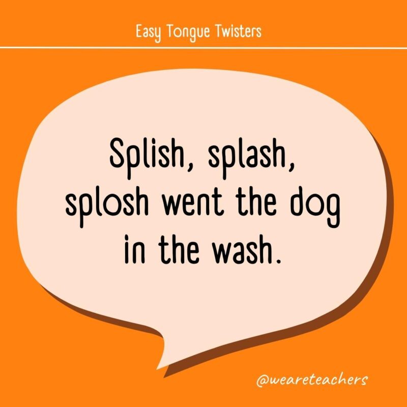 Splish, splash, splosh went the dog in the wash.